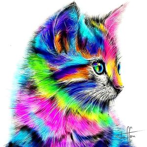 Chaton arc-en-ciel – Toile + Kit broderie diamant 5D